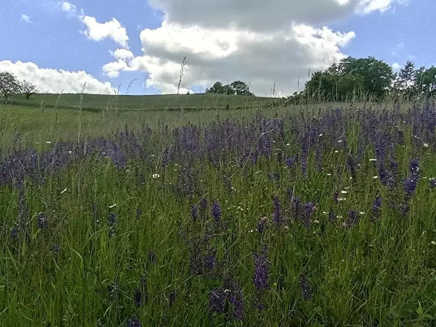Immagine 5 di Terreno residenziale in vendita  a Tizzano Val Parma