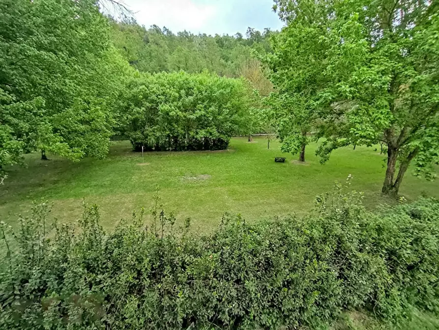 Immagine 36 di Rustico / casale in vendita  a Casciana Terme Lari