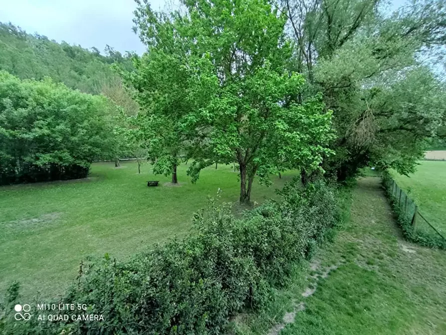 Immagine 23 di Rustico / casale in vendita  a Casciana Terme Lari