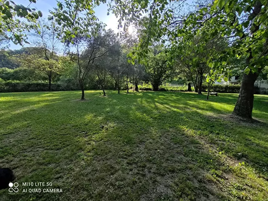 Immagine 15 di Rustico / casale in vendita  a Casciana Terme Lari