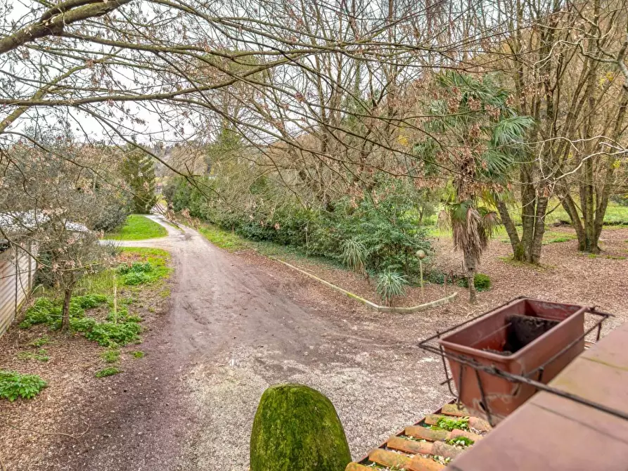 Immagine 55 di Rustico / casale in vendita  a Casciana Terme Lari