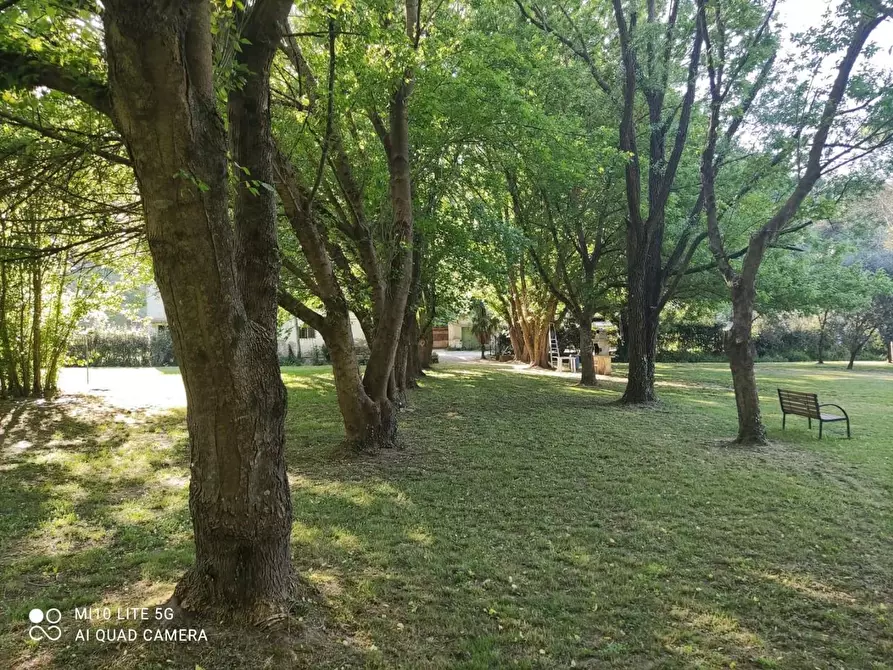 Immagine 16 di Rustico / casale in vendita  a Casciana Terme Lari