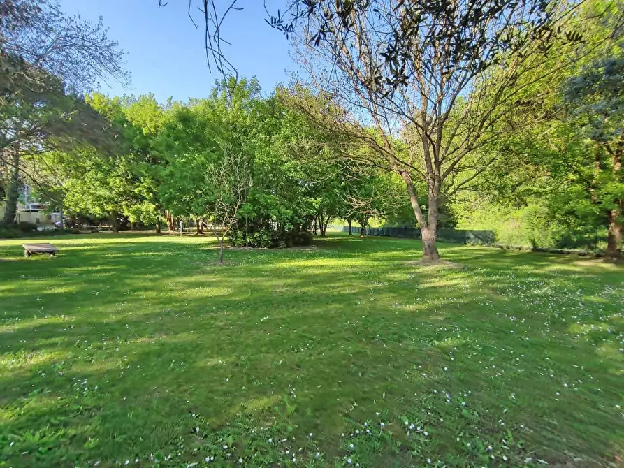 Immagine 29 di Rustico / casale in vendita  a Casciana Terme Lari