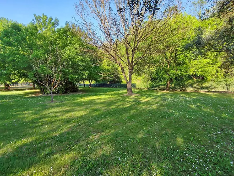 Immagine 33 di Rustico / casale in vendita  a Casciana Terme Lari