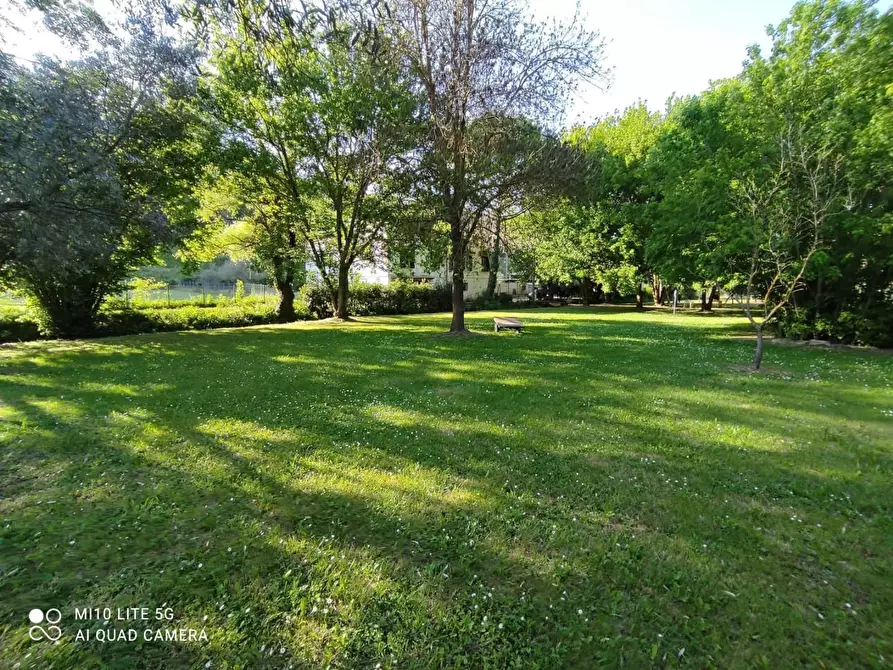 Immagine 18 di Rustico / casale in vendita  a Casciana Terme Lari