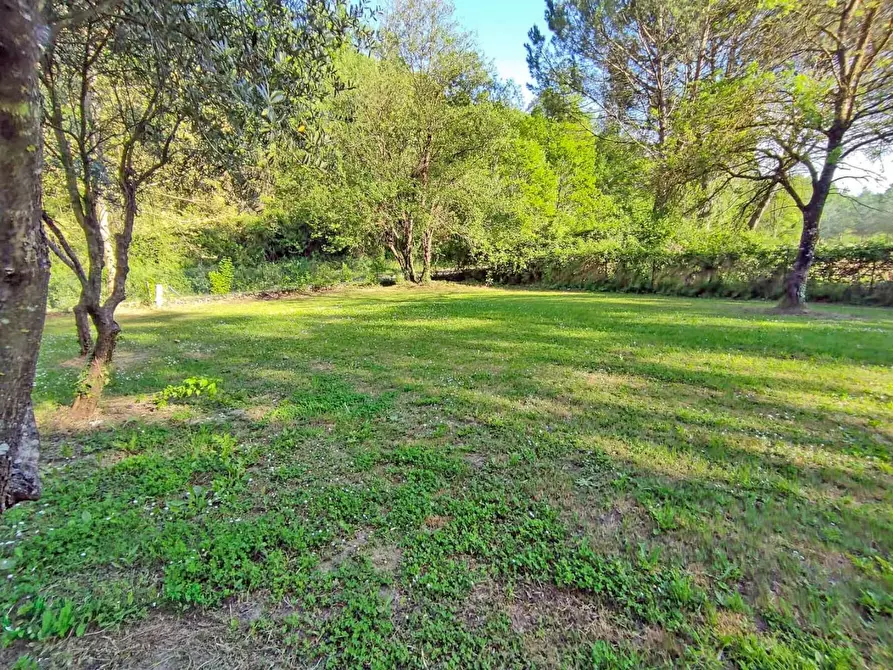 Immagine 32 di Rustico / casale in vendita  a Casciana Terme Lari