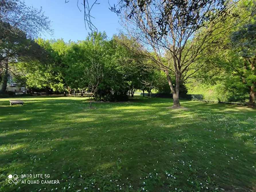 Immagine 17 di Rustico / casale in vendita  a Casciana Terme Lari