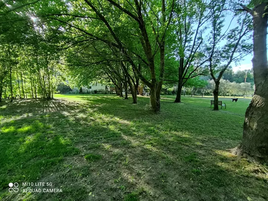 Immagine 14 di Rustico / casale in vendita  a Casciana Terme Lari