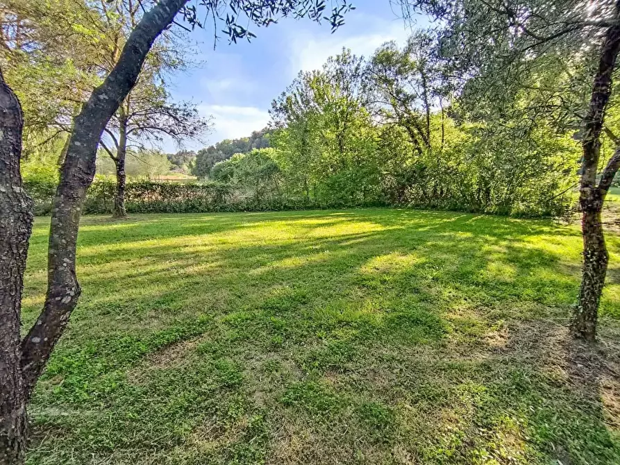 Immagine 31 di Rustico / casale in vendita  a Casciana Terme Lari