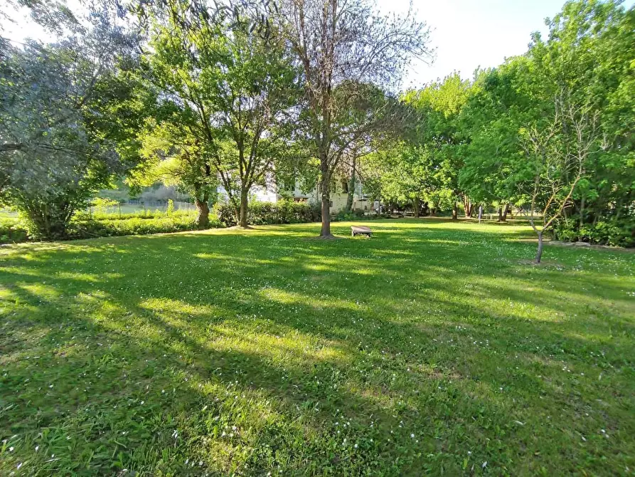 Immagine 30 di Rustico / casale in vendita  a Casciana Terme Lari