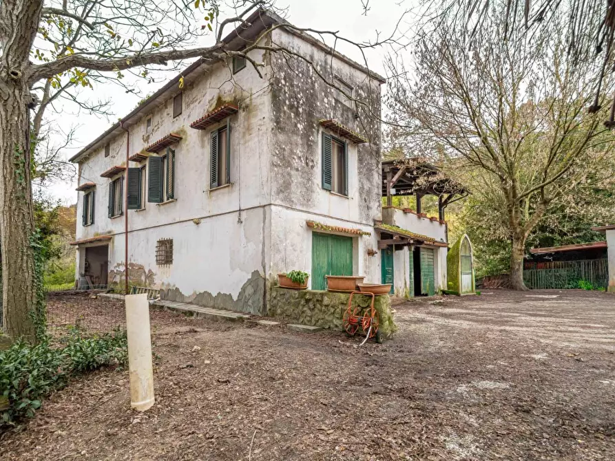 Immagine 47 di Rustico / casale in vendita  a Casciana Terme Lari