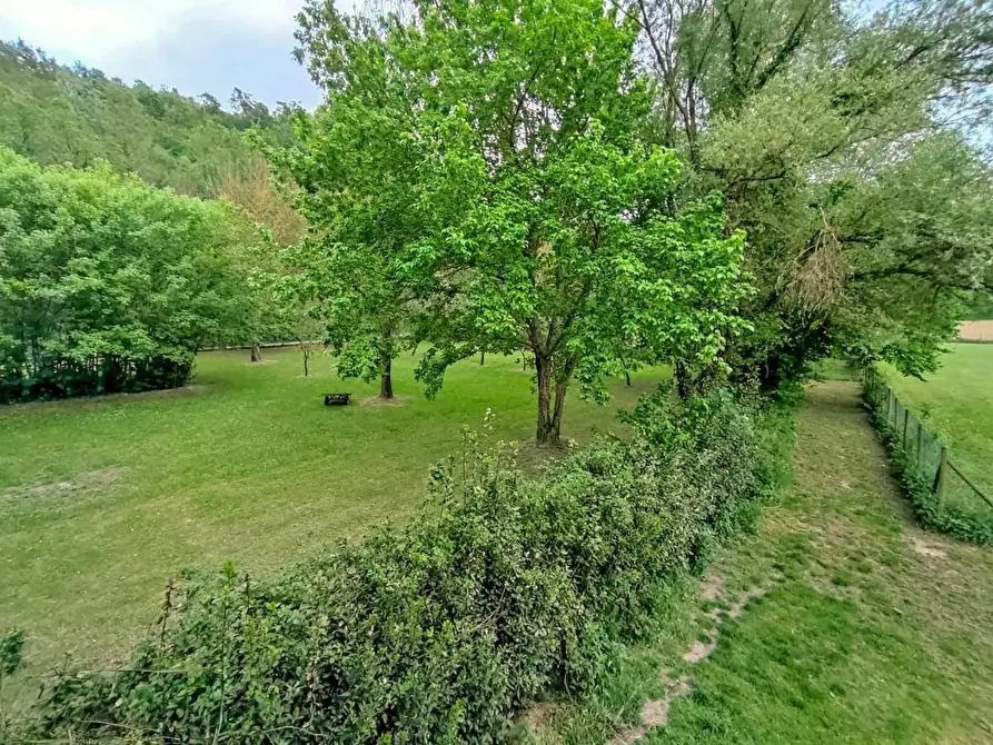 Immagine 35 di Rustico / casale in vendita  a Casciana Terme Lari