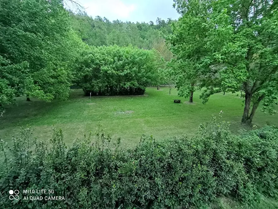 Immagine 24 di Rustico / casale in vendita  a Casciana Terme Lari