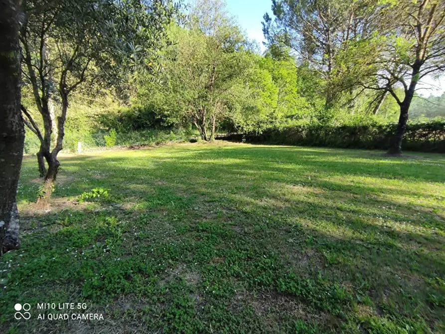 Immagine 20 di Rustico / casale in vendita  a Casciana Terme Lari