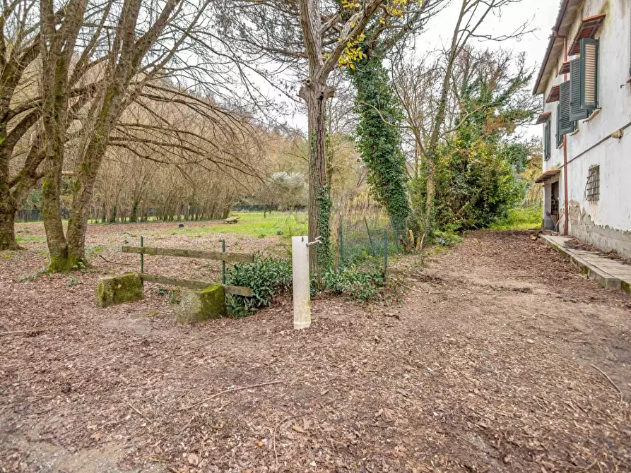 Immagine 49 di Rustico / casale in vendita  a Casciana Terme Lari