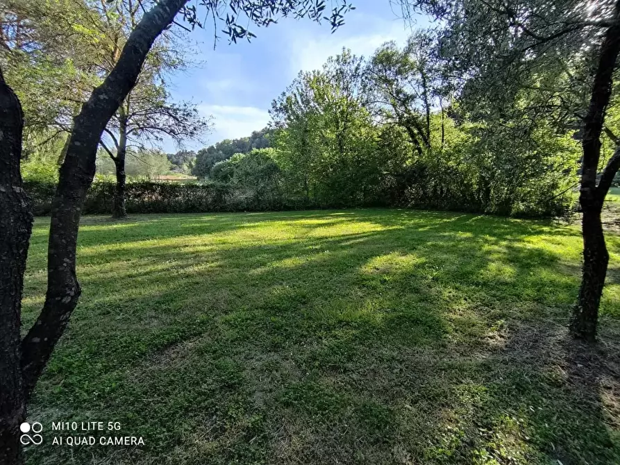 Immagine 19 di Rustico / casale in vendita  a Casciana Terme Lari