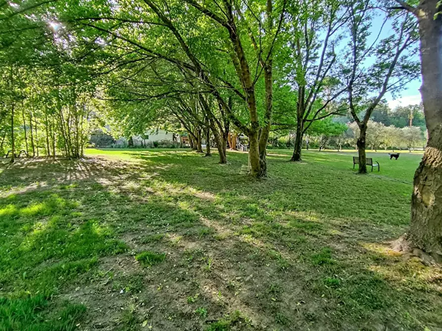 Immagine 27 di Rustico / casale in vendita  a Casciana Terme Lari