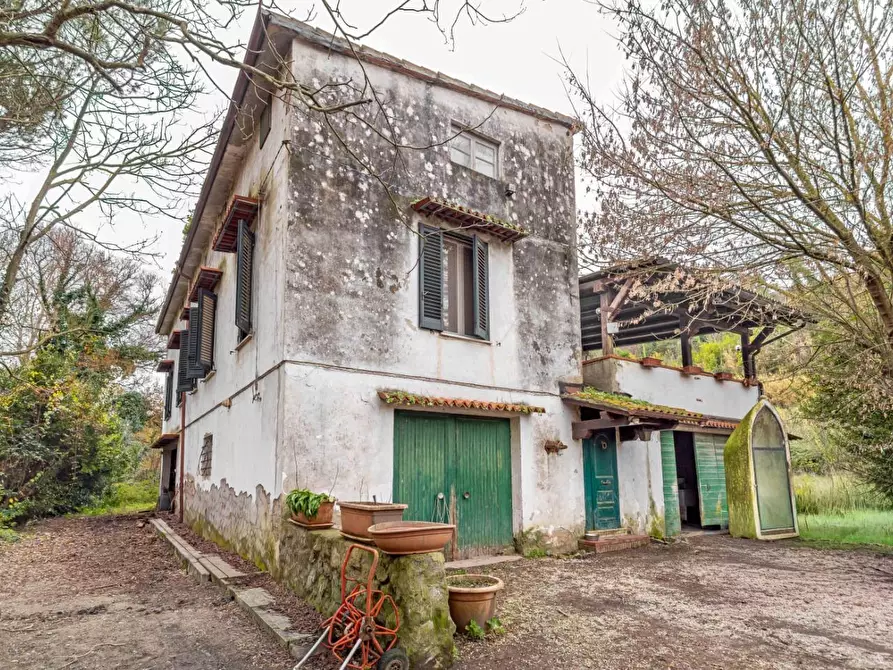 Immagine 48 di Rustico / casale in vendita  a Casciana Terme Lari