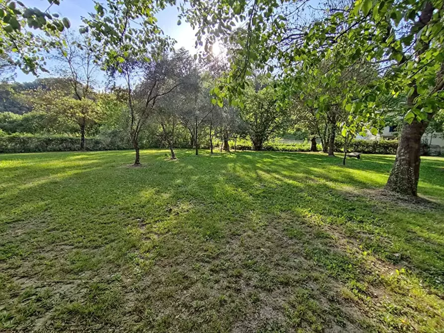 Immagine 28 di Rustico / casale in vendita  a Casciana Terme Lari