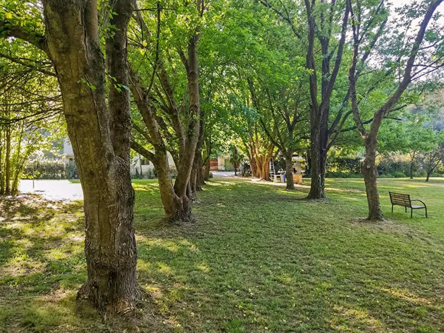 Immagine 25 di Rustico / casale in vendita  a Casciana Terme Lari