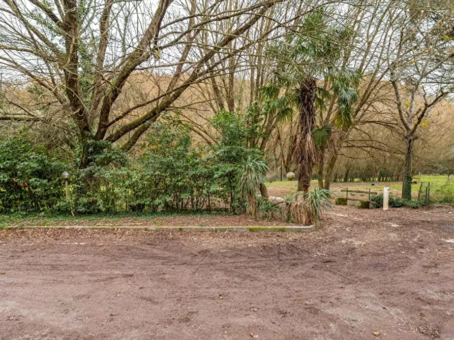 Immagine 51 di Rustico / casale in vendita  a Casciana Terme Lari