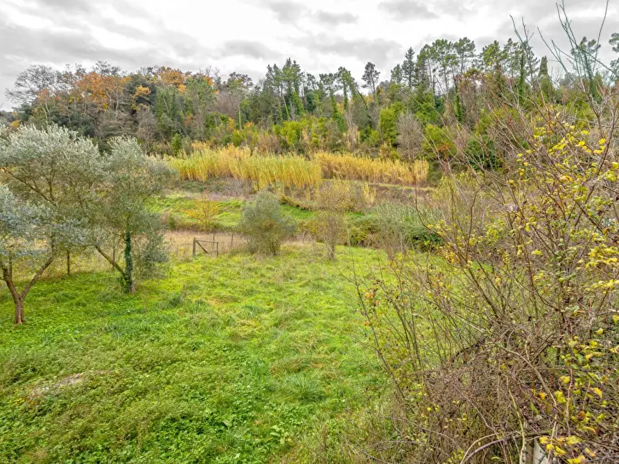 Immagine 66 di Rustico / casale in vendita  a Casciana Terme Lari