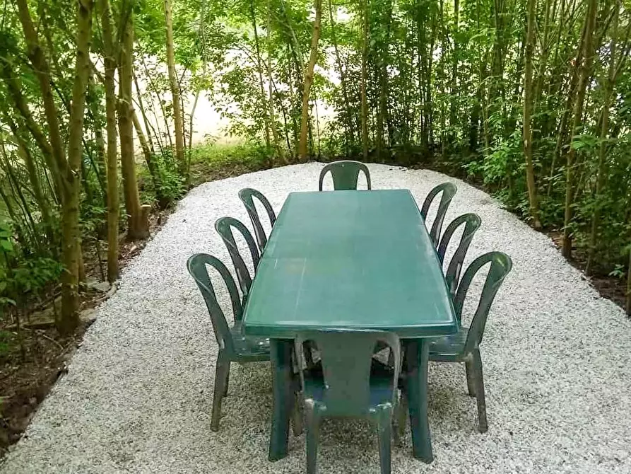 Immagine 34 di Rustico / casale in vendita  a Casciana Terme Lari