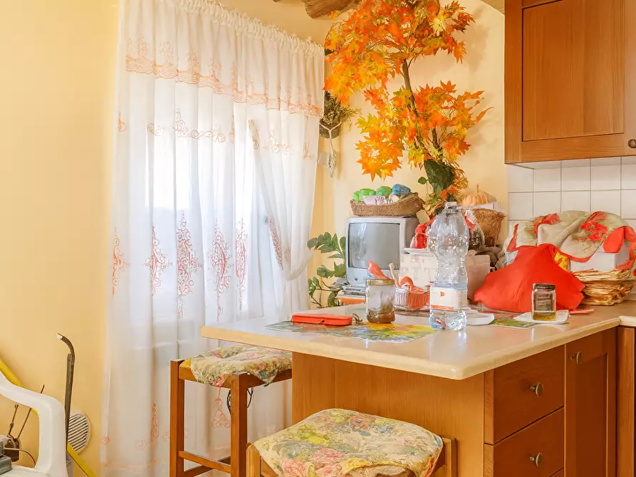 Immagine 1 di Appartamento in vendita  a Calcinaia