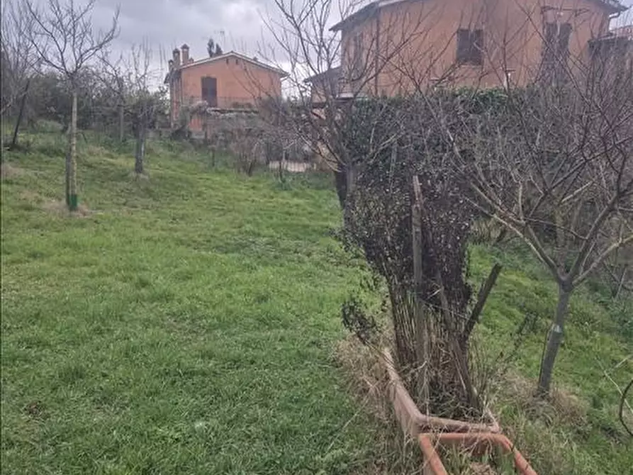 Immagine 27 di Terratetto in vendita  a Asciano