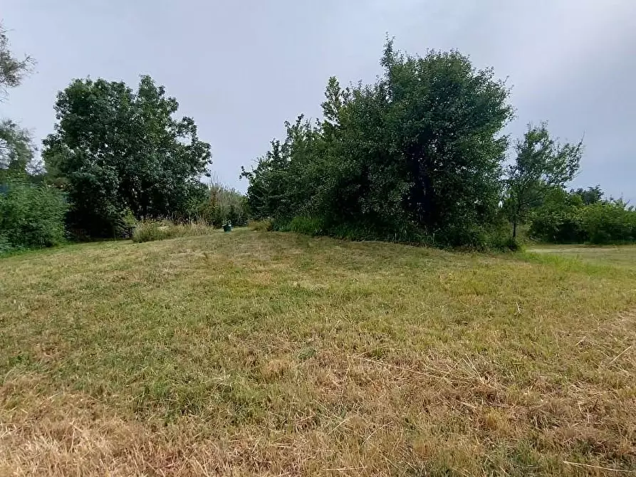 Immagine 27 di Appartamento in vendita  a Livorno