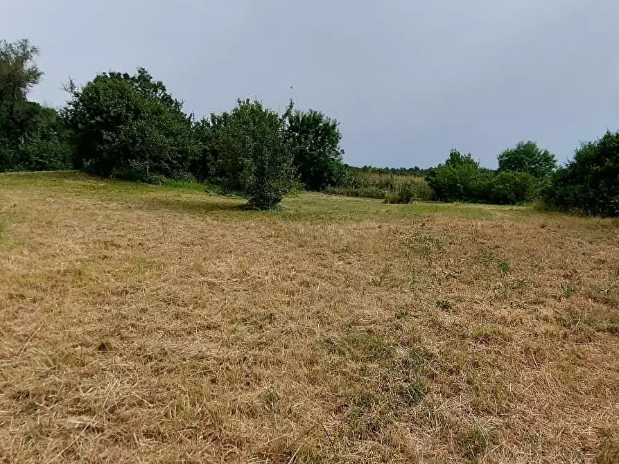 Immagine 26 di Appartamento in vendita  a Livorno