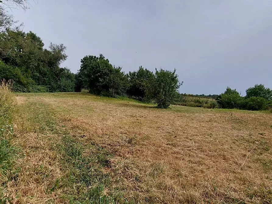 Immagine 22 di Appartamento in vendita  a Livorno