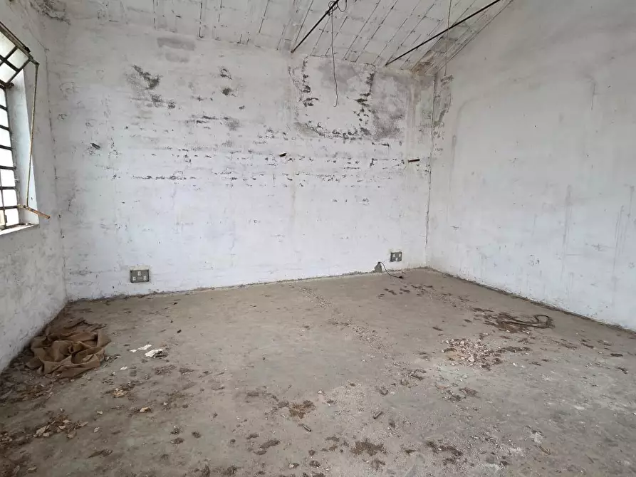 Immagine 3 di Attività artigianale in vendita  a Capannori