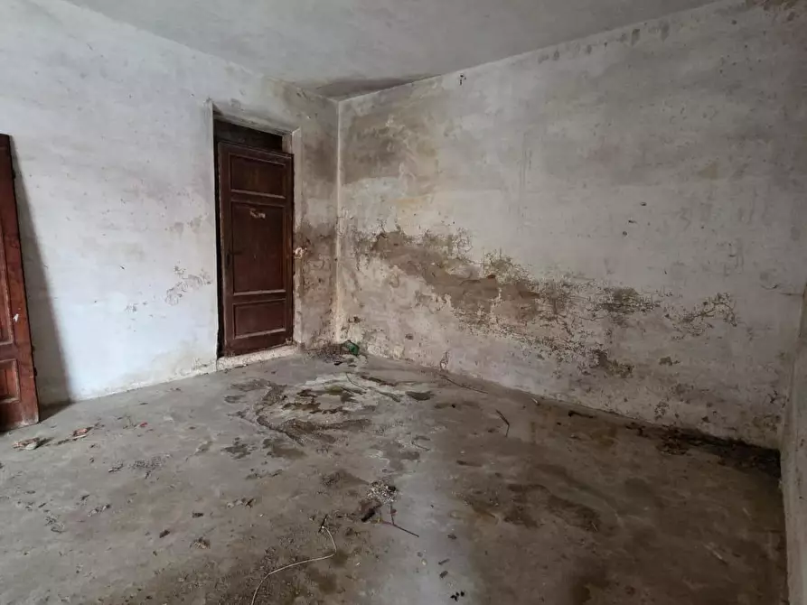 Immagine 12 di Attività artigianale in vendita  a Capannori