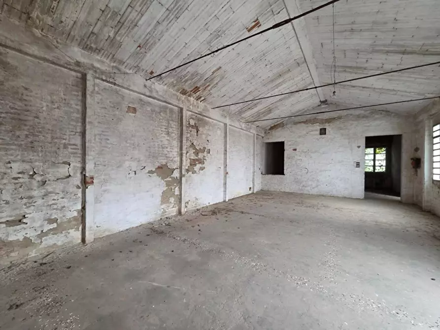 Immagine 4 di Attività artigianale in vendita  a Capannori