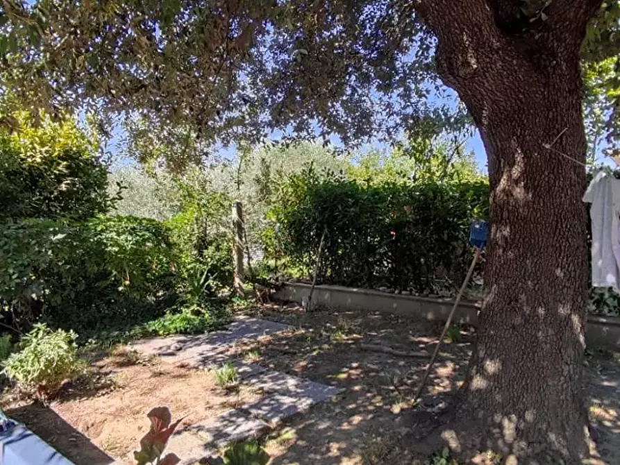 Immagine 11 di Terratetto in vendita  a Cascina