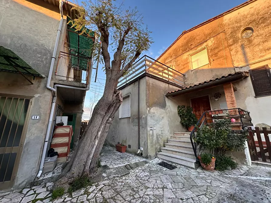 Immagine 46 di Casa semindipendente in vendita  a Crespina Lorenzana