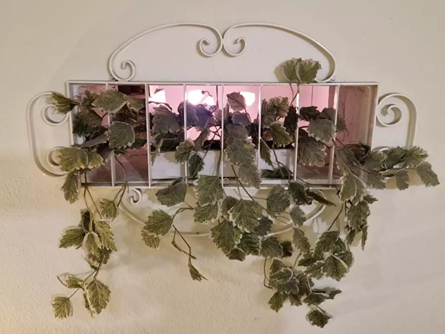 Immagine 26 di Terratetto in vendita  a Pontedera