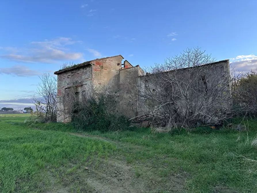 Immagine 12 di Rustico / casale in vendita  a Cascina