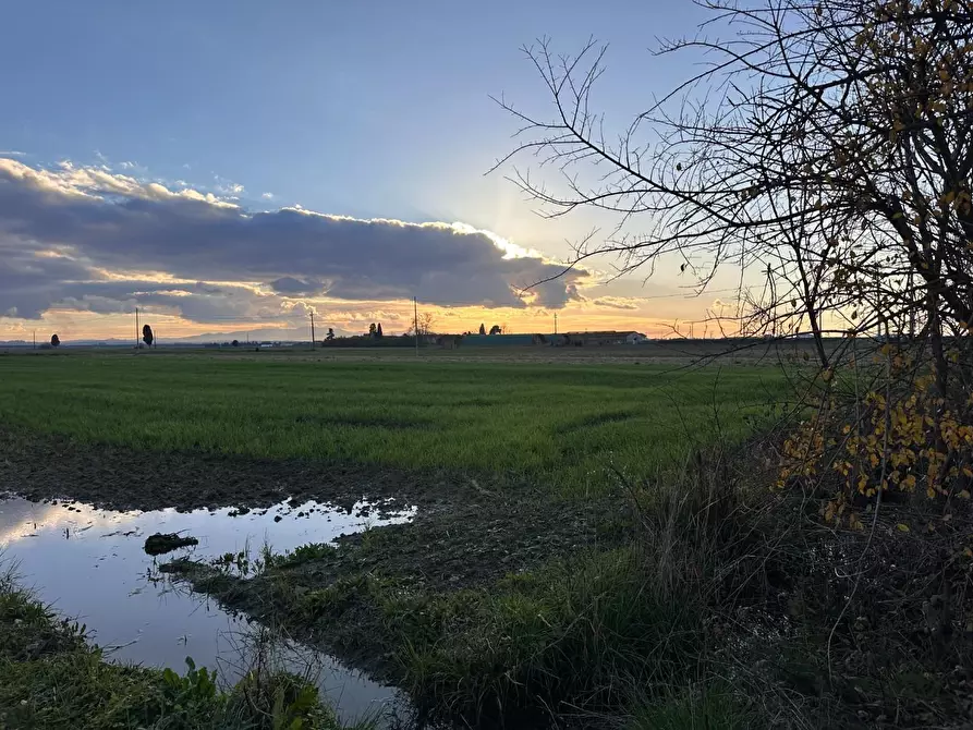 Immagine 6 di Rustico / casale in vendita  a Cascina
