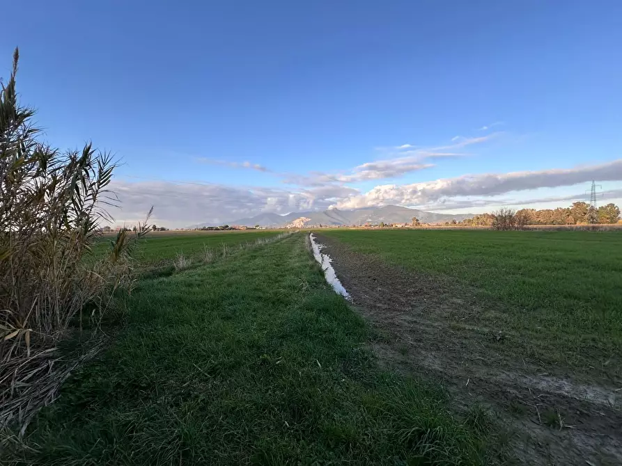 Immagine 19 di Rustico / casale in vendita  a Cascina