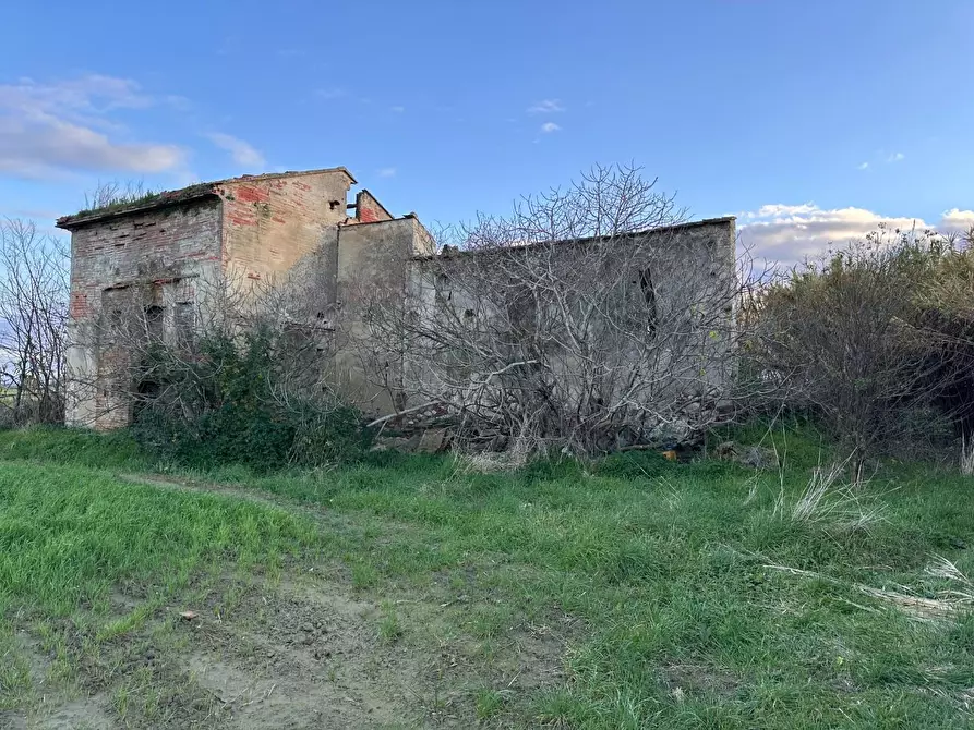 Immagine 13 di Rustico / casale in vendita  a Cascina