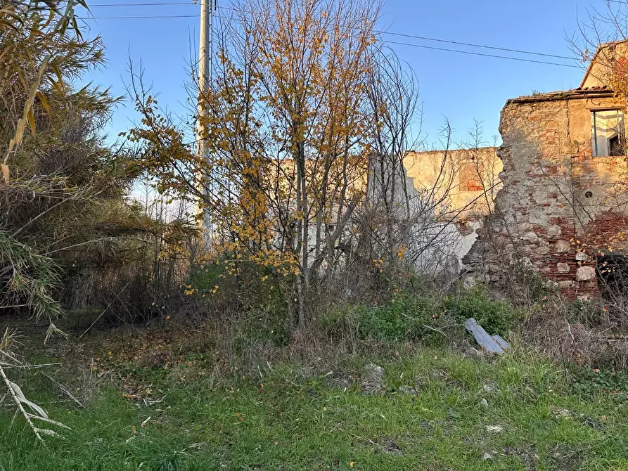 Immagine 8 di Rustico / casale in vendita  a Cascina