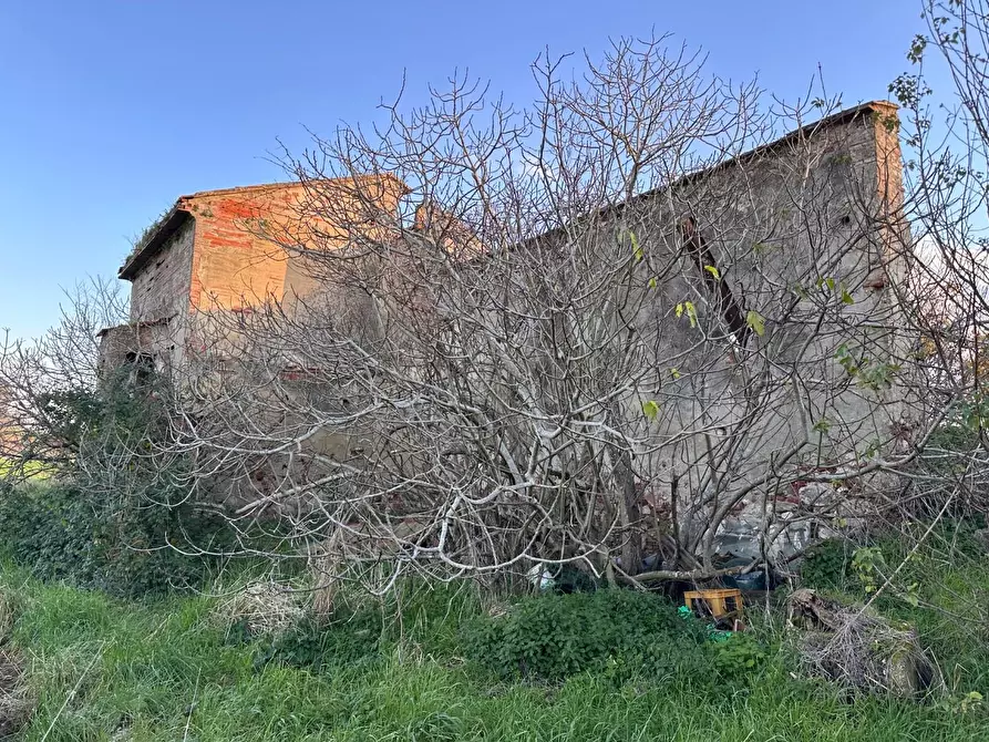 Immagine 7 di Rustico / casale in vendita  a Cascina