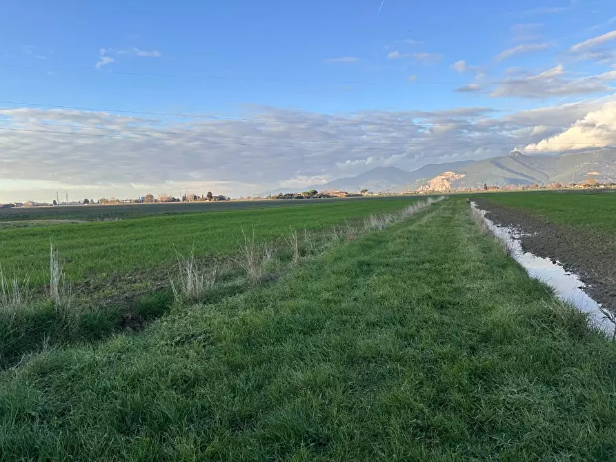 Immagine 17 di Rustico / casale in vendita  a Cascina