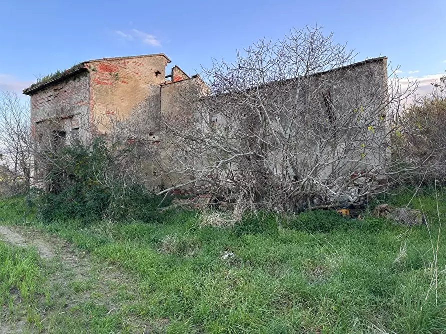 Immagine 15 di Rustico / casale in vendita  a Cascina