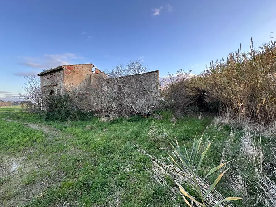 Immagine 11 di Rustico / casale in vendita  a Cascina