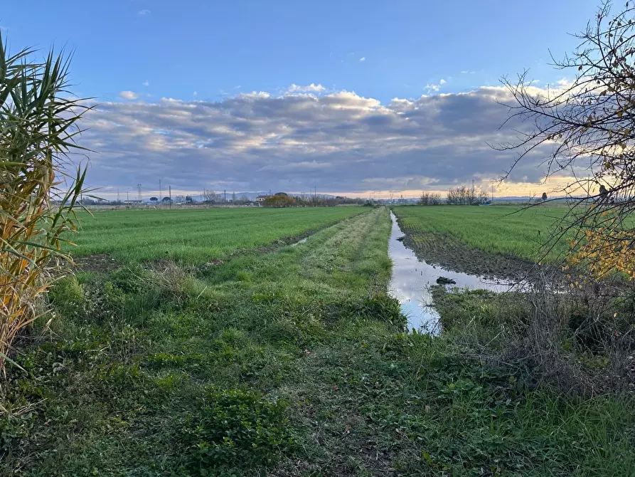 Immagine 18 di Rustico / casale in vendita  a Cascina