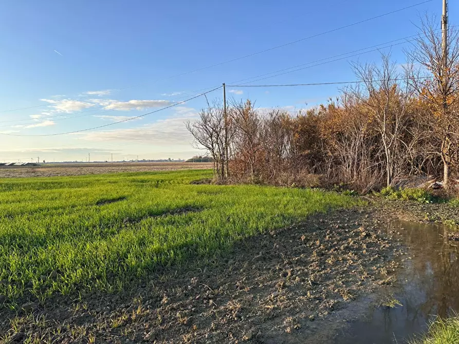 Immagine 21 di Rustico / casale in vendita  a Cascina