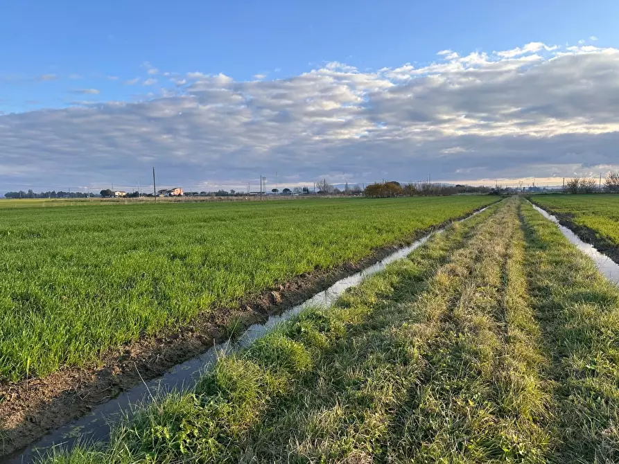 Immagine 24 di Rustico / casale in vendita  a Cascina
